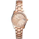 FOSSIL SCARLETTE - Relógio Elegante para Mulher