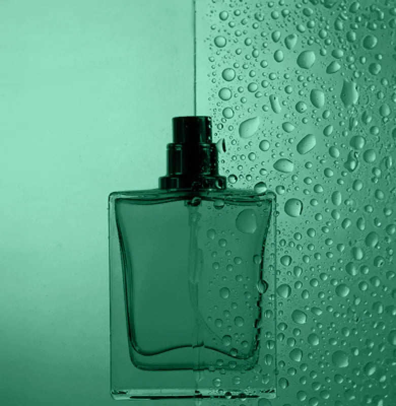 Moda e perfumes estão a caminho